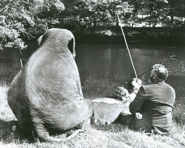 Man and elephant fishing