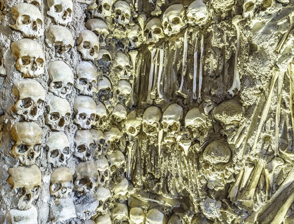 Close-up view of skulls on the wall