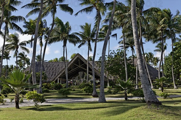 Lobby with palm garden