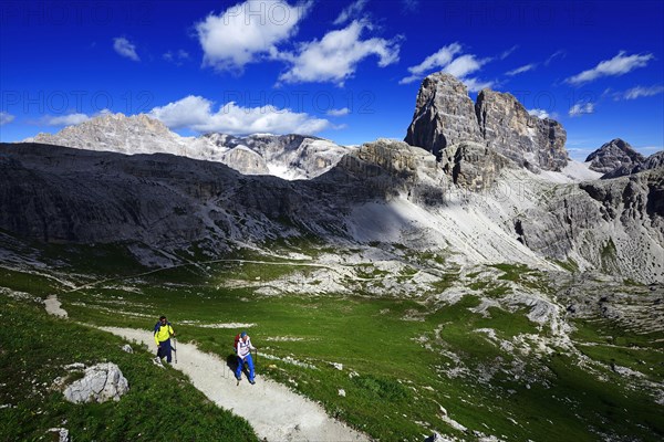 Hikers on trail 101