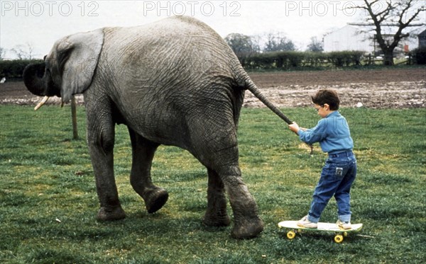 Elephant pulls child