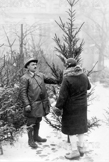 Christmas tree for sale ca. 1930