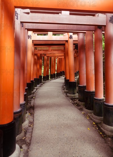 Senbon torii