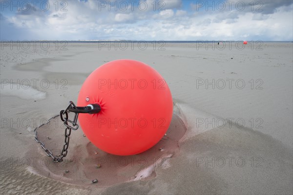 Buoy on the beach in the sand