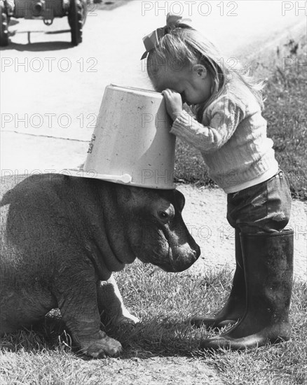 Pygmy Hippopotamus (Choeropsis liberiensis) and girl