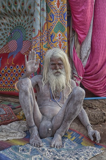 Naked Sadhu during Hindu festival Kumbh Mela