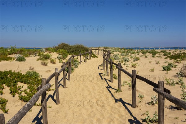 Way through the dunes