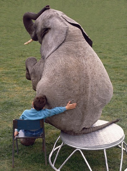 Boy and elephant