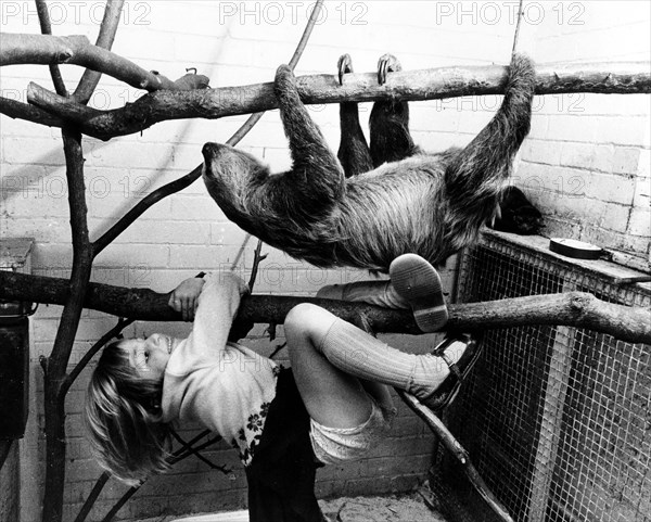 Sloth and girls climbing