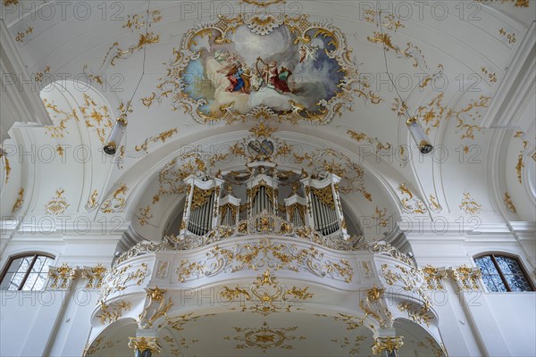 Organ gallery