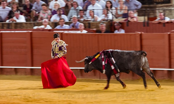 Racing bull with Matador