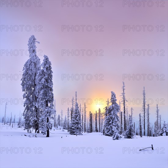 Sunset on the mountain Grosser Rachel in winter