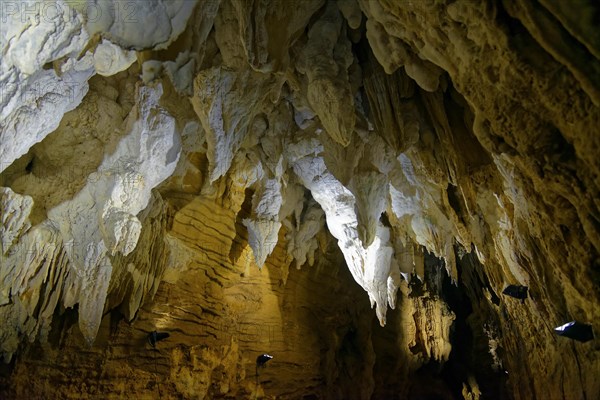 Ceiling hanging stalactites in the dripstone cave Aranui Cave