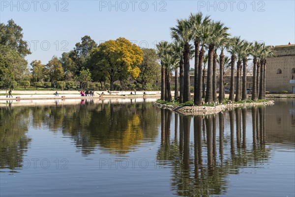 Jardin Jnan Sbil Garden