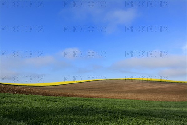 Hilly agricultural landscape