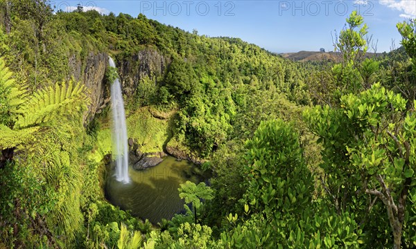 Wall of columnar basalt with waterfall Bridal Veil Falls