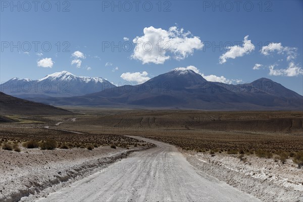 Gravel road leads through Altiplano