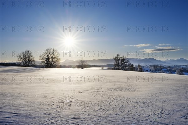 Morning light