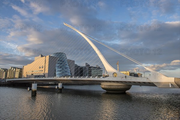 Samuel Beckett Bridge