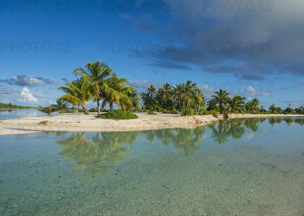 Palm fringed white sand beach in the turquoise waters of Tikehau