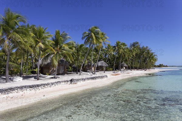 Bungalows on the beach under palm trees