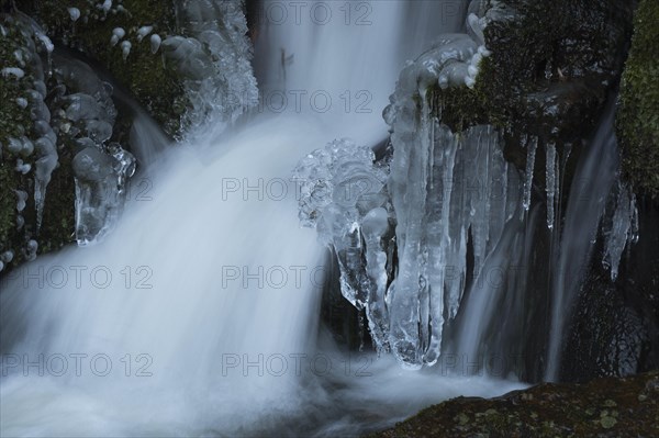 Icicles in creek