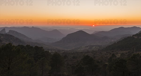 Wooded mountain landscape at sunset