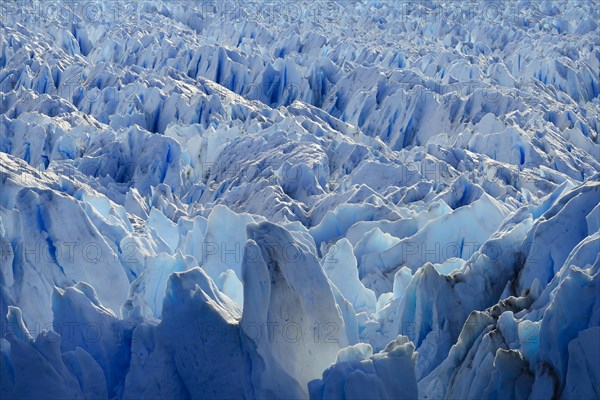 Glacier ice