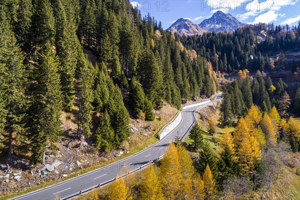 Pass road in autumn