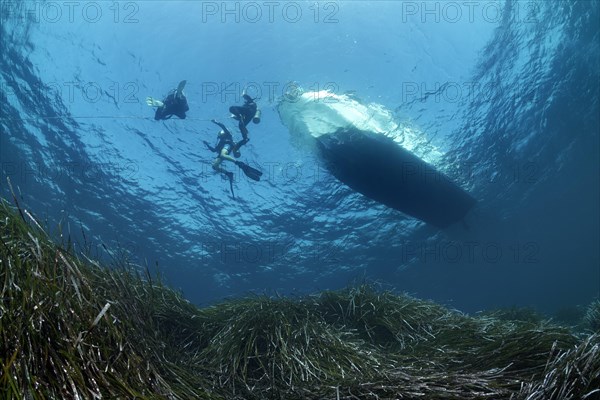 Divers dive on rope