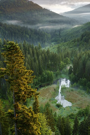 View from the viewing platform Ellbachseeblick