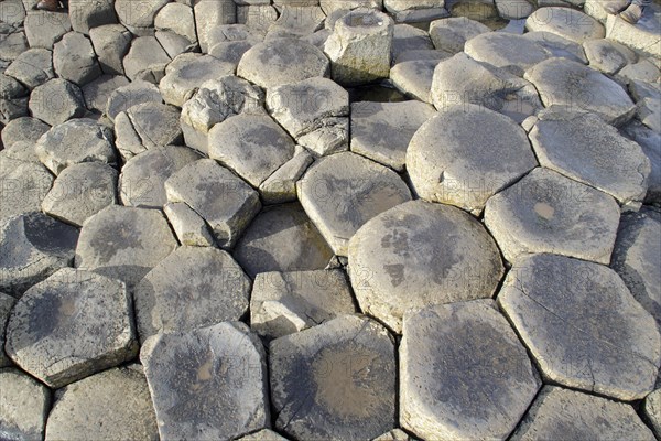 Basalt columns