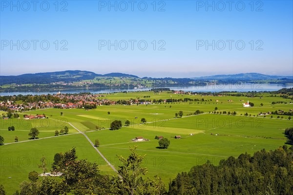 View of Waltenhofen and Schwangau with Forggensee