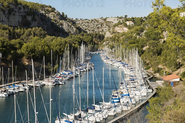 Sailing boats in the port