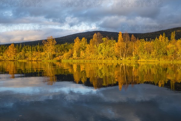 Autumn landscape