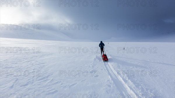 Ski tourer with pulka in the snow