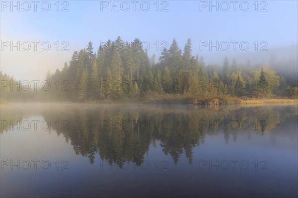 Morning fog