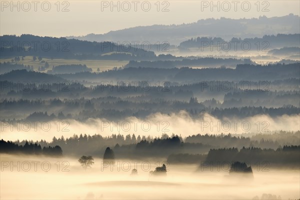 Morning fog