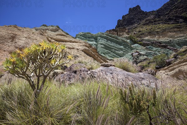 Turquoise colored rock layer Los Azulejos De Veneguera