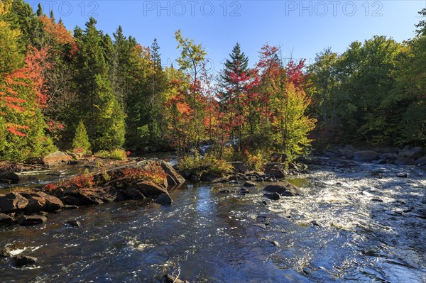 Rapids on the River Riviere du Diable in Autumn