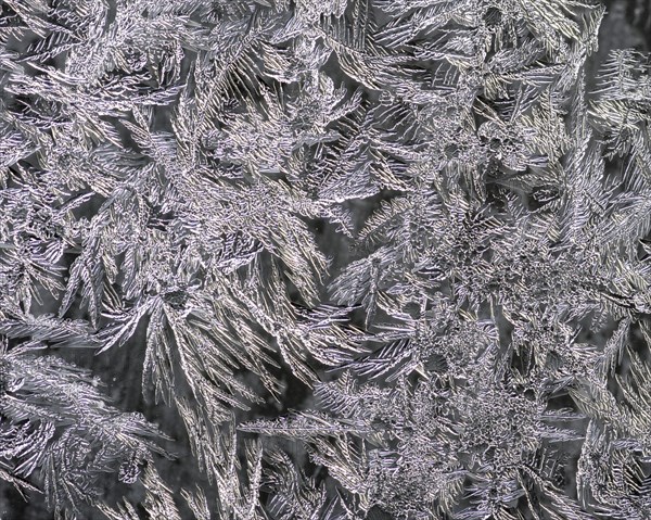 Ice crystals at a window