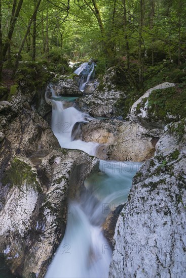 Lepenjica River