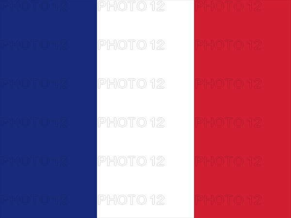 Official national flag of