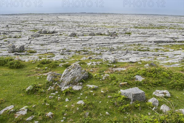 Burren karst landscape