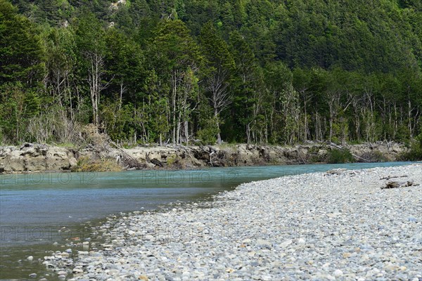 Shore of the Rio Ibanez