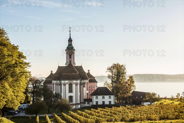 Pilgrimage church Birnau with vineyards in autumn