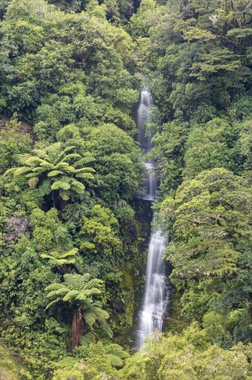 Small waterfall in the rainforest