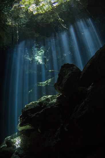 Cave of light from the cave ceiling