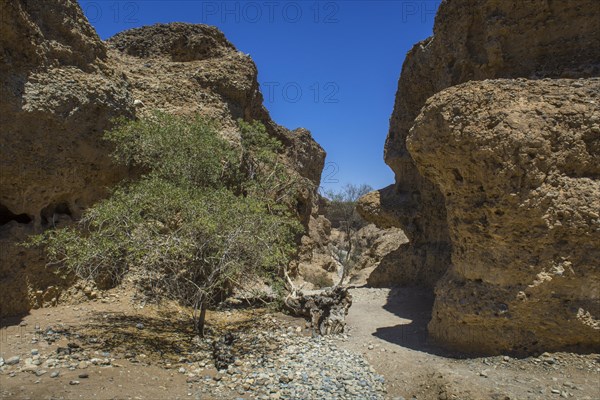 Sesriem Canyon