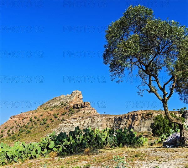 Rock formation Lion's Head